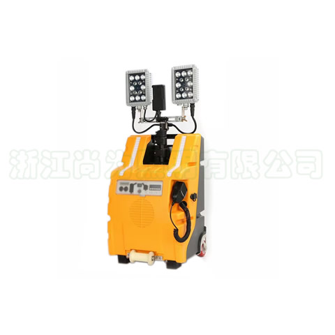 SZSW2980�๦���Ƅ�����ϵ�y