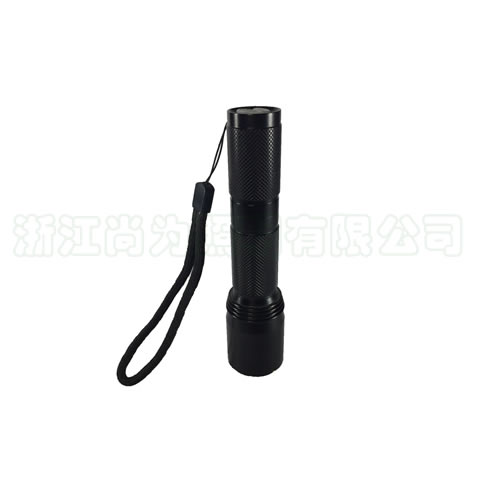 SW2108微型防爆電筒